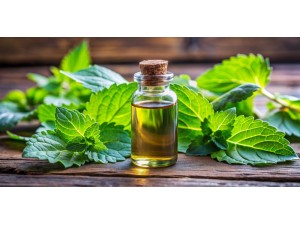 Tıbbi Nane Yağı: Doğanın Mucizevi Dokunuşuyla Sağlığınıza Destek